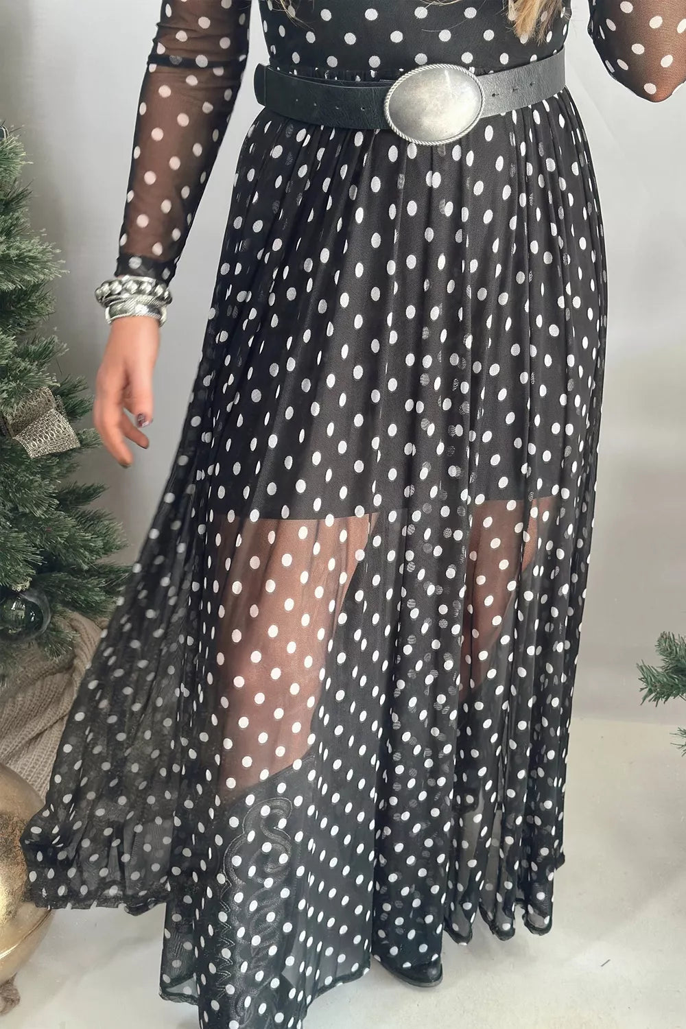 Polka Dot Sheer Mesh Maxi Dress in Black