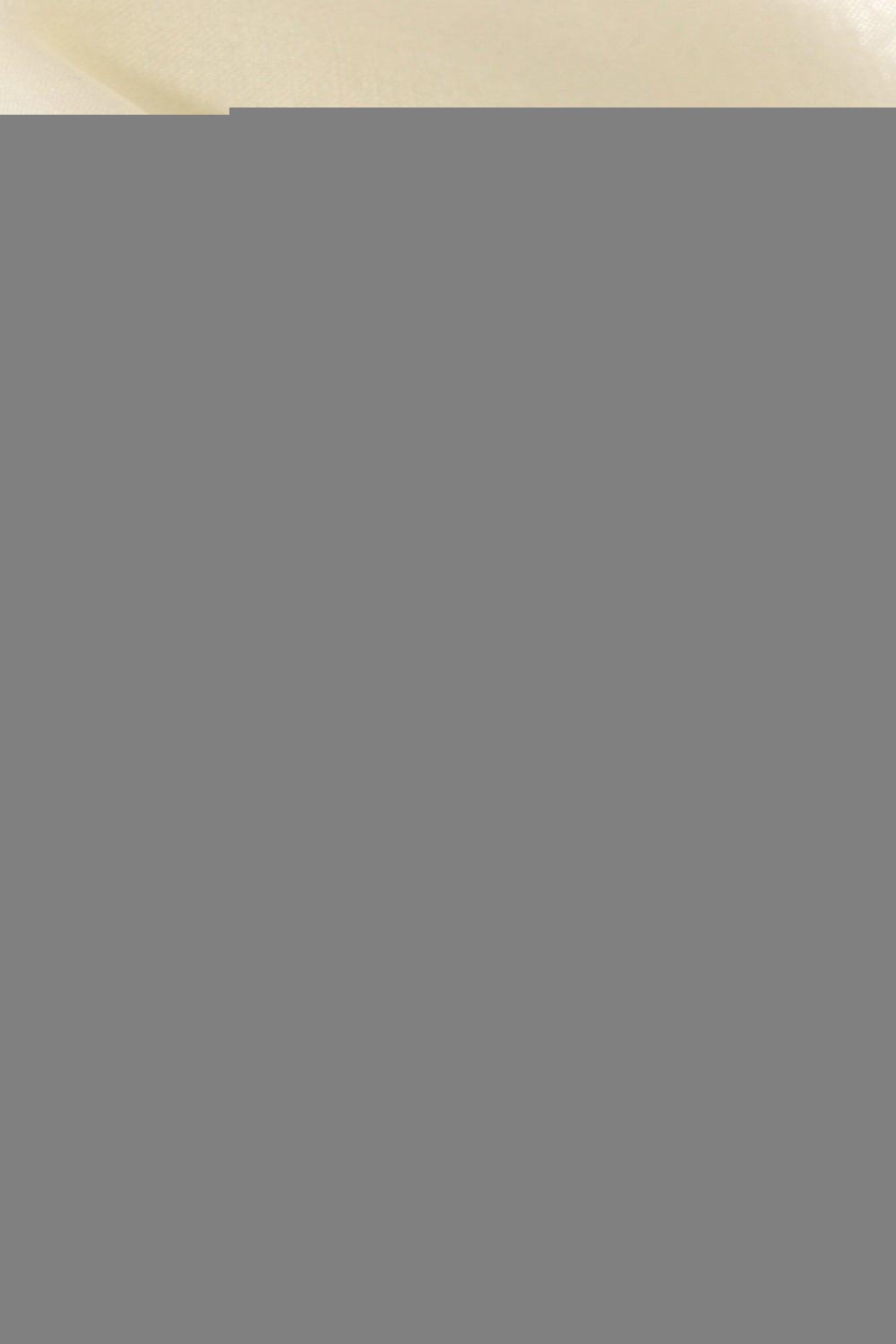 2bdbc88175a9420e8fd6d1f15b638ec1-Max