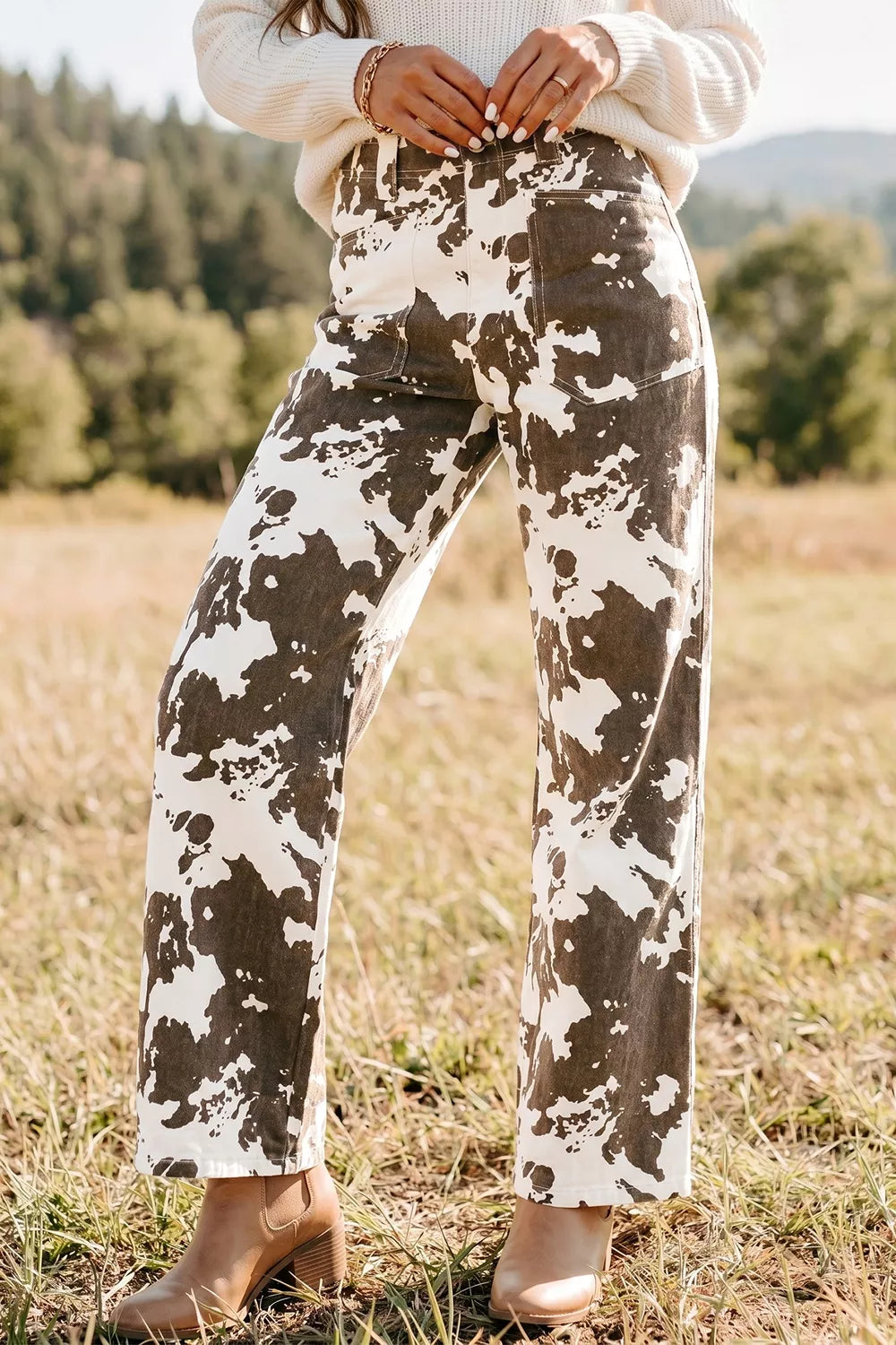 Western Style Regular Fit Jeans in Dark Brown