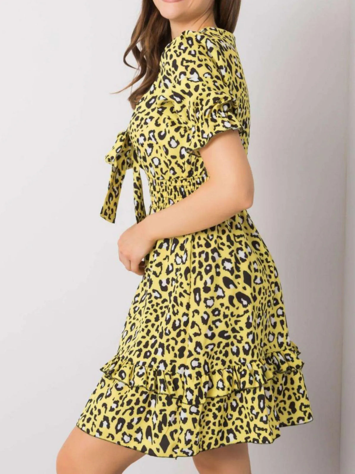 Leopard Print Tie-Front Mini Dress