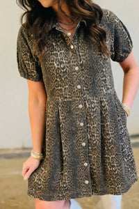 Leopard