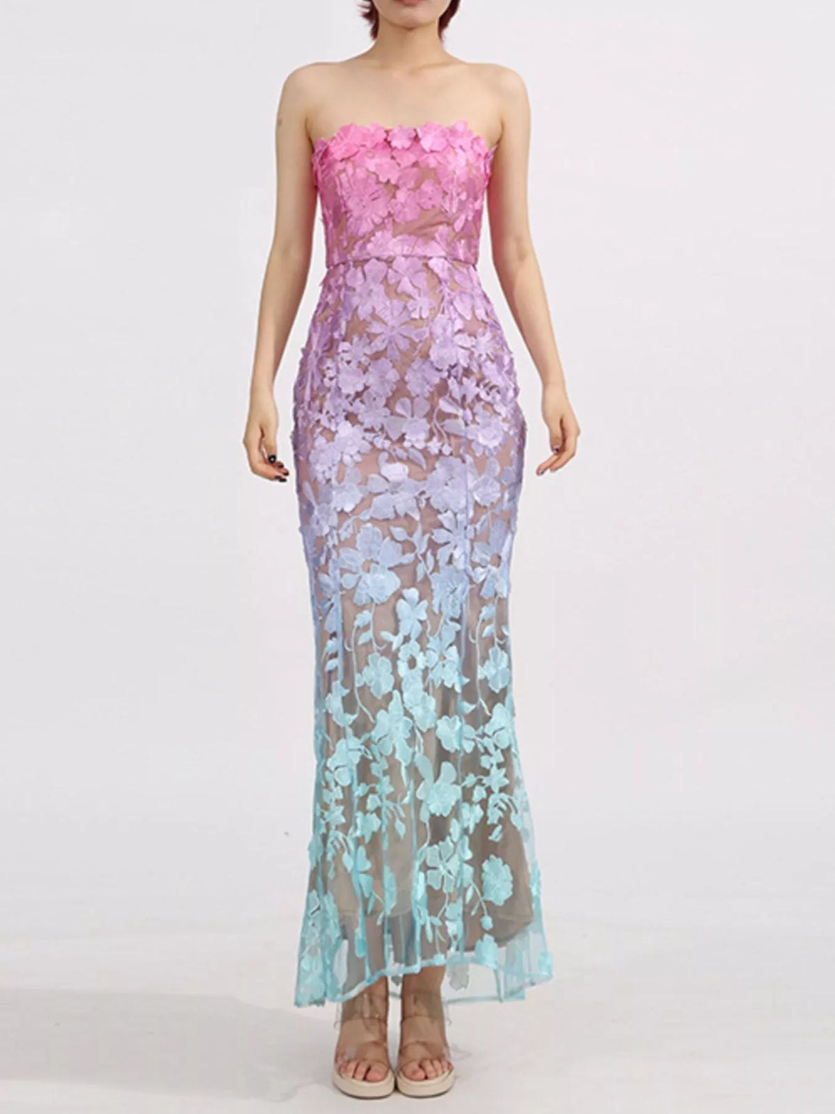 Embroidered Tube Maxi Dress in Gradient in Gradient Color