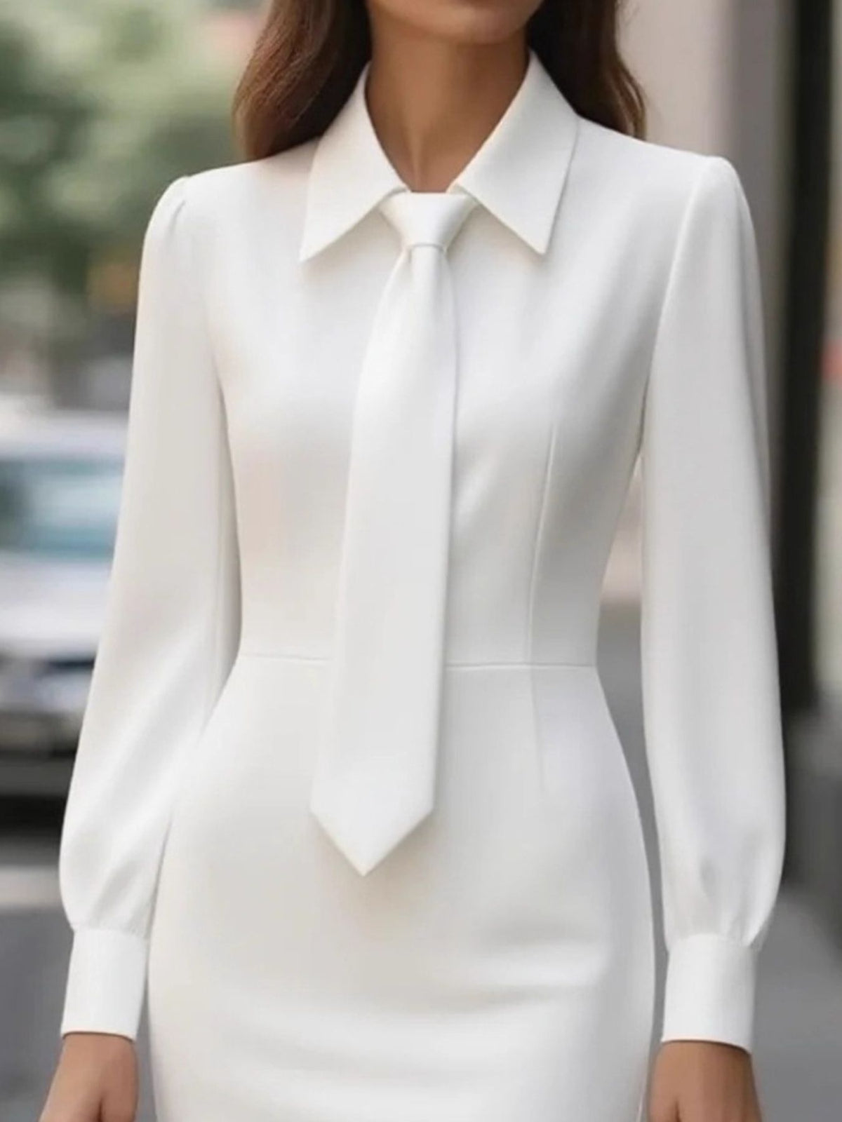 Belted Tie-Neck Long Sleeve Dress