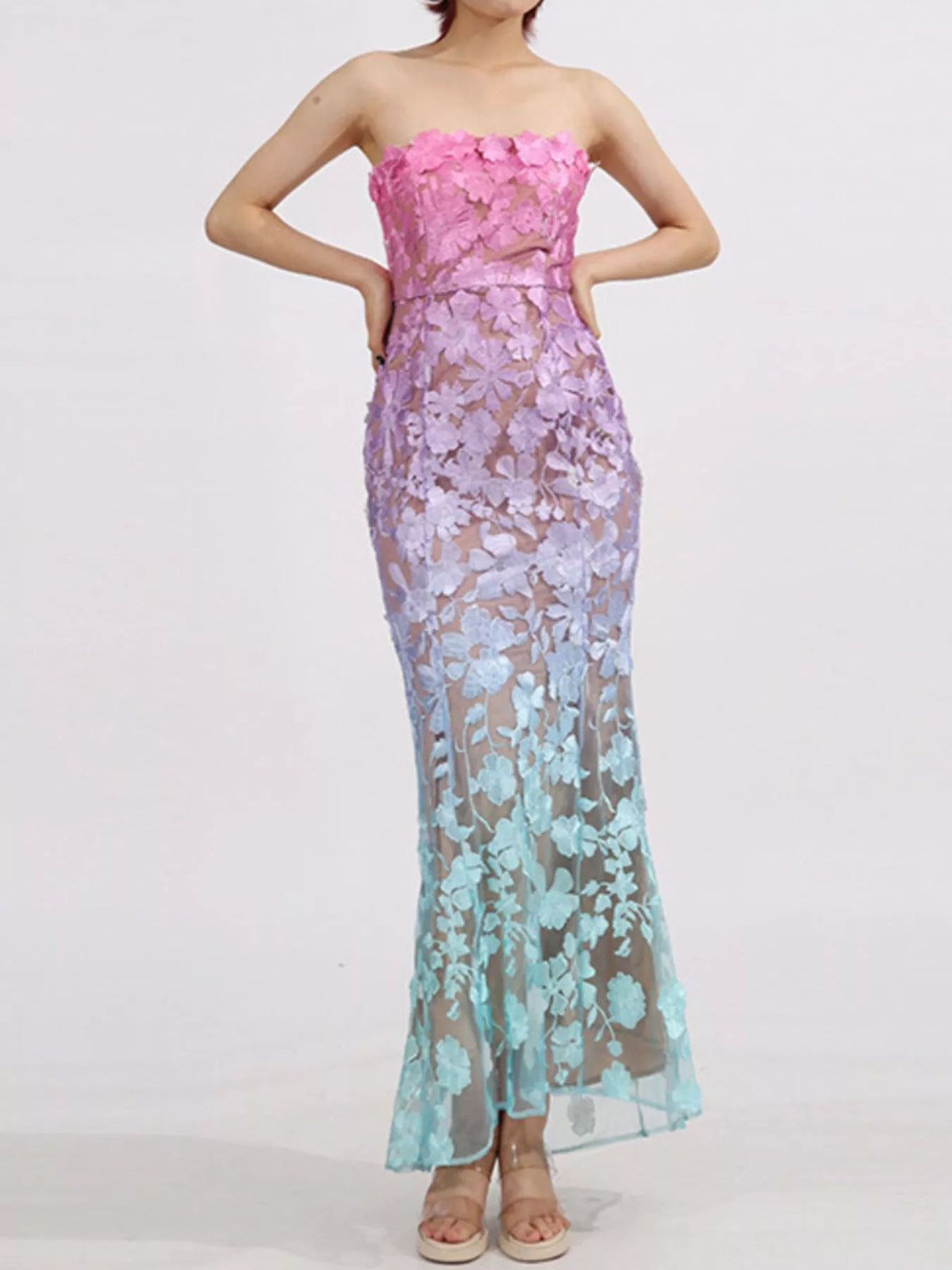 Embroidered Tube Maxi Dress in Gradient in Gradient Color
