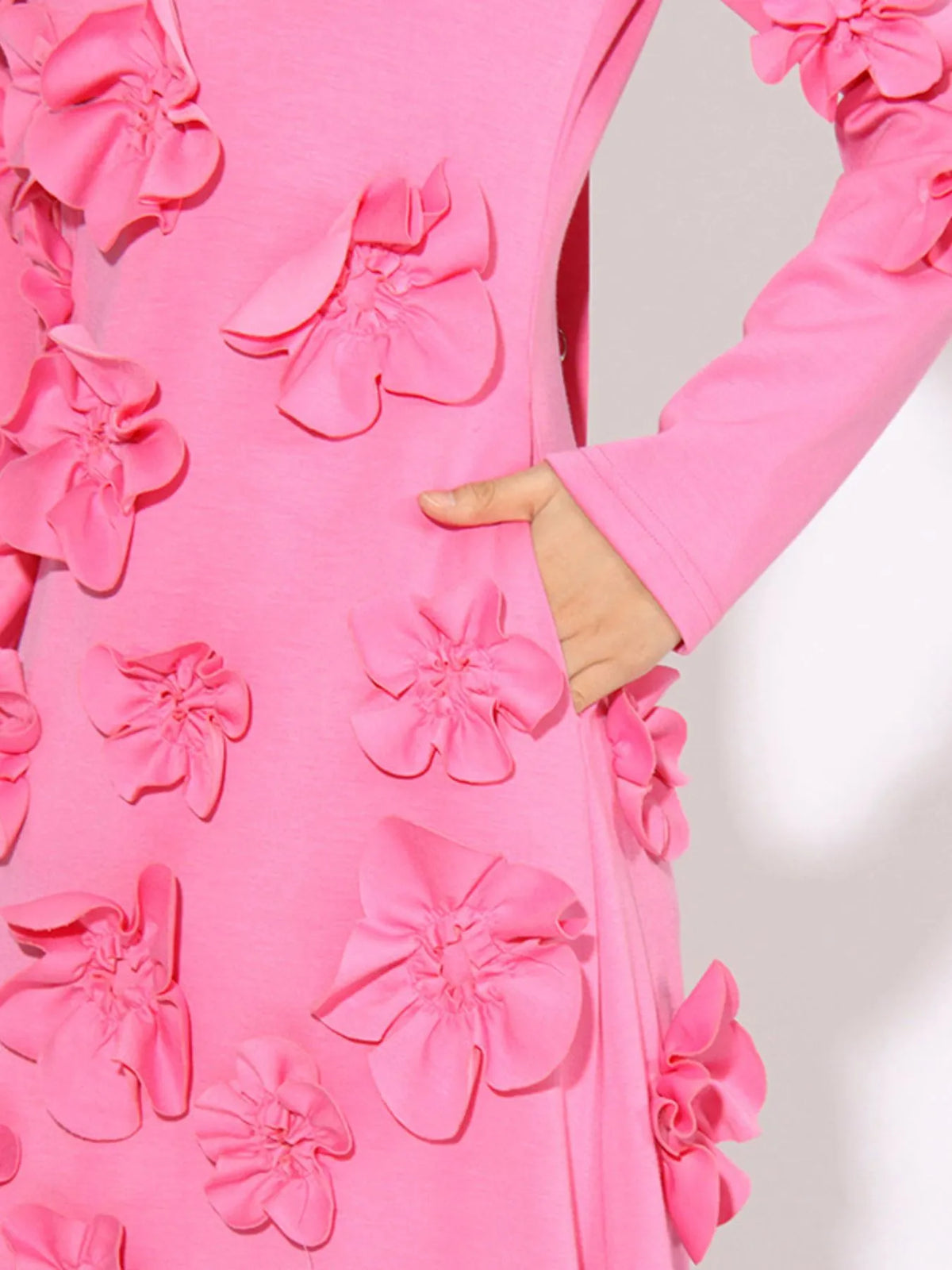 Floral Applique Long Sleeve Maxi Dress in Pink
