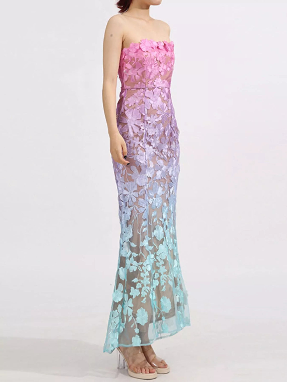 Embroidered Tube Maxi Dress in Gradient in Gradient Color