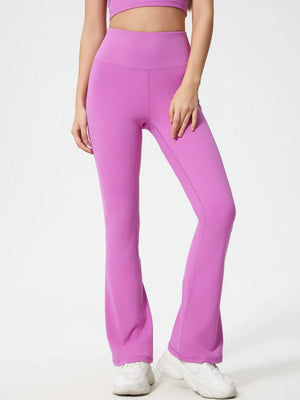 Heliotrope Purple