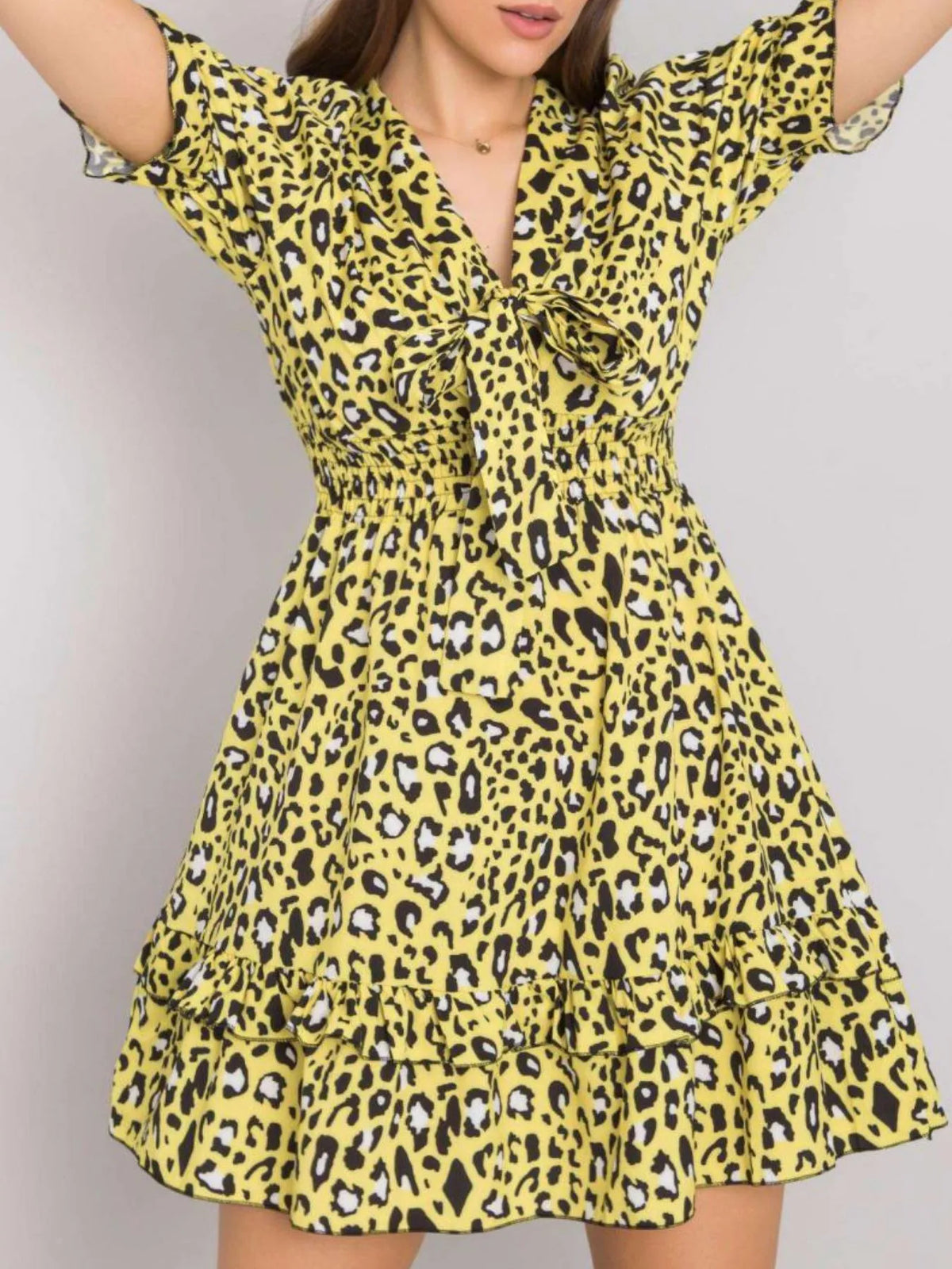 Leopard Print Tie-Front Mini Dress