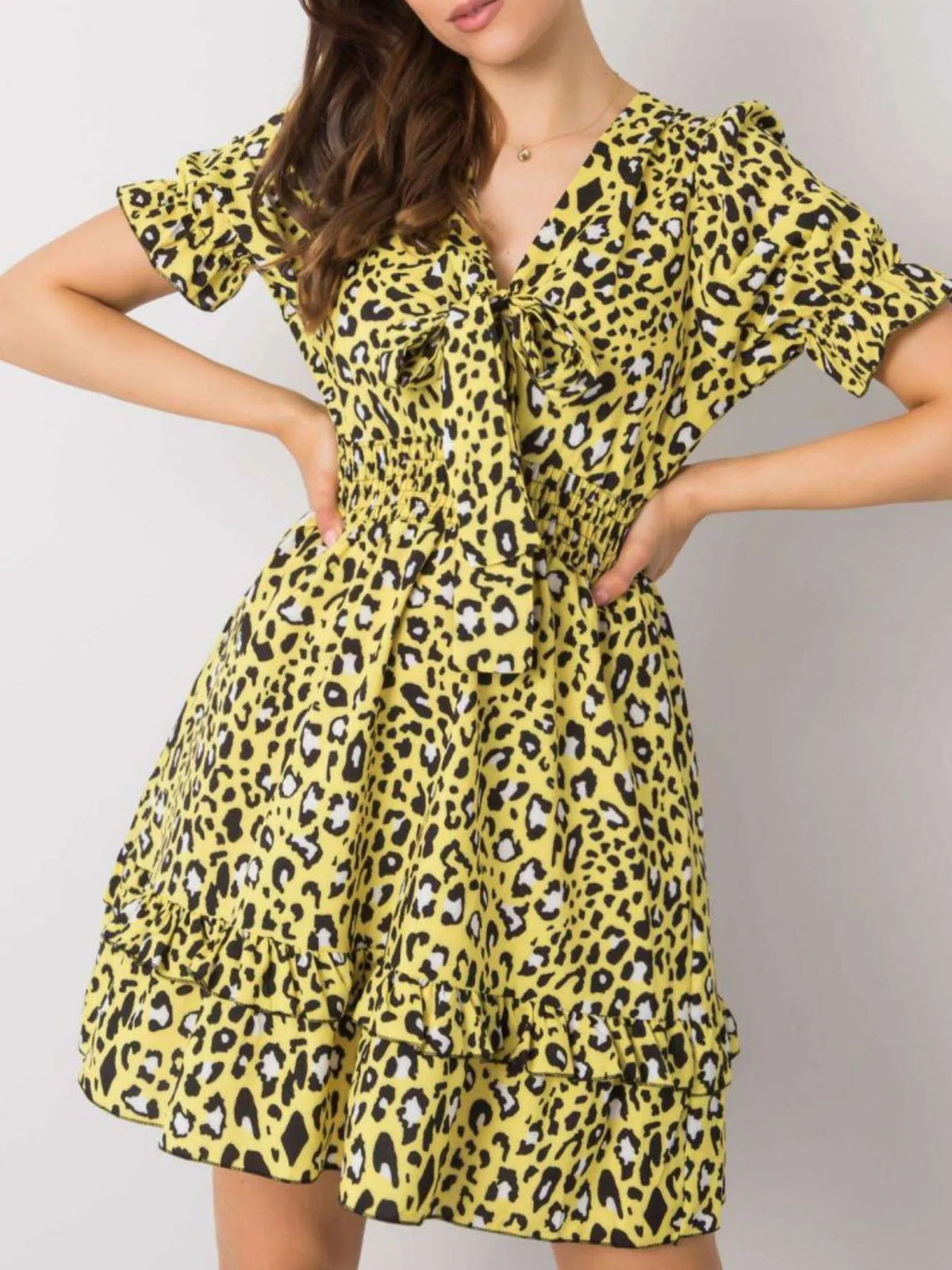 Leopard Print Tie-Front Mini Dress