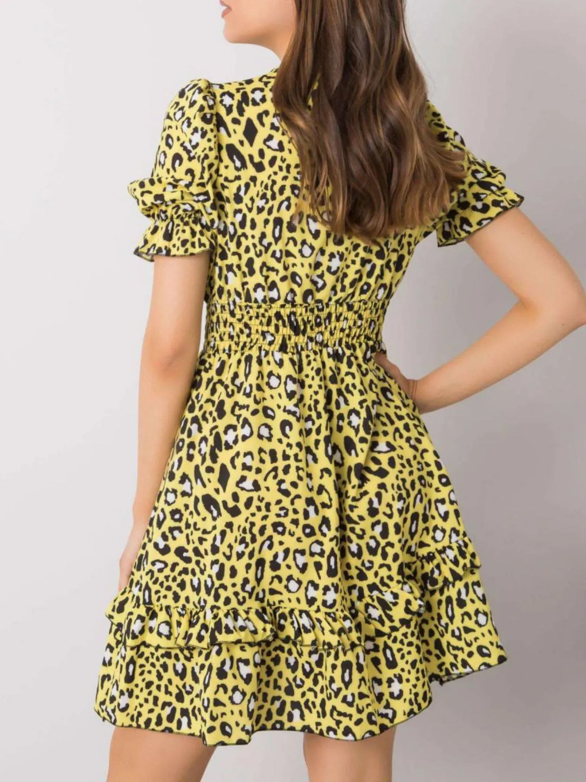 Leopard Print Tie-Front Mini Dress