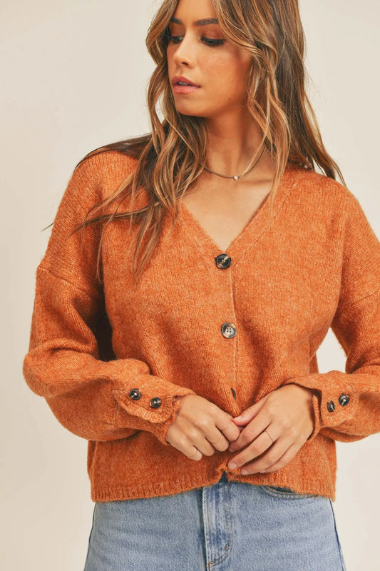 Button-Down Sweater Cardigan in Rust