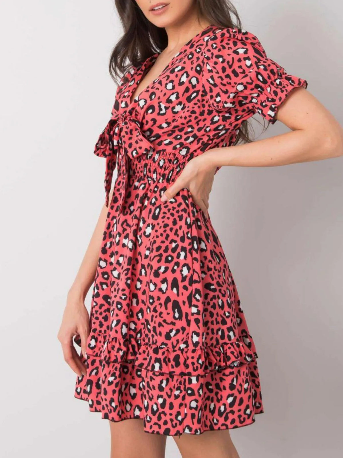 Leopard Print Tie-Front Mini Dress